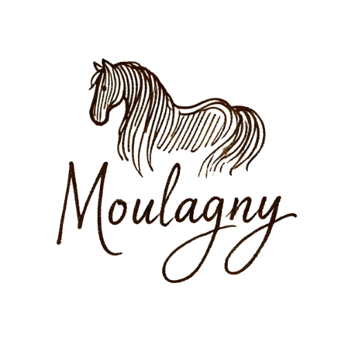 lolo O Moulagny cheval logo écurie 
